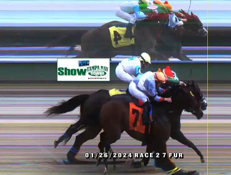finish-photos-tampa-bay-downs