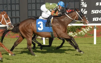 SMITHWICK’S SPICE’S WIN REASON TO CELEBRATE; PLAY THE MUSIC SHOWS GRIT