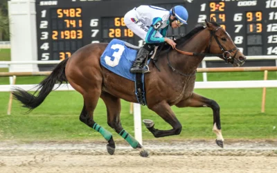 DEREK RYAN CERTAIN BOOK’EM DANNO WILL BE HEARD FROM AGAIN