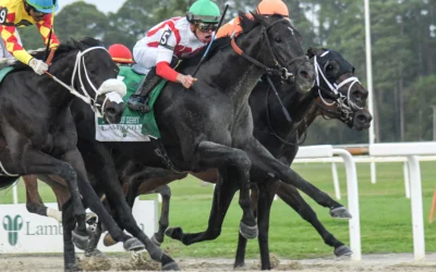 DOMESTIC PRODUCT SURGES LATE TO WIN TB DERBY ON ZANY AFTERNOON
