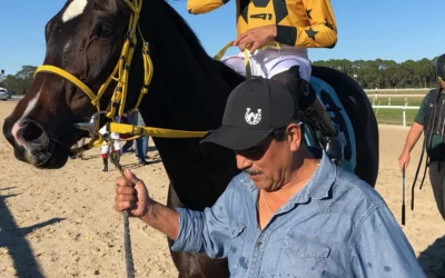 TURF COURSE MEETS TYPICALLY HIGH EXPECTATIONS; HESS LEARNING FAST