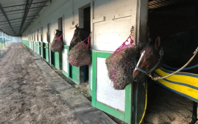 HORSES BEGIN ARRIVING FOR A MEET THAT ALREADY SEEMS BLESSED