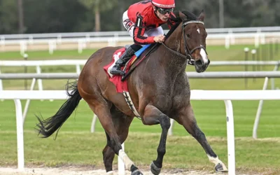 NIC’S STYLE SETS STAKES RECORD IN CITY OF OCALA; BIG MARTINI WINS