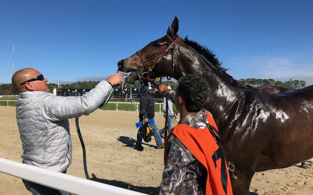 ARRIAGADA IS TRAINER OF MONTH; FLORIDA-BREDS LOOK TOUGH IN STAKES