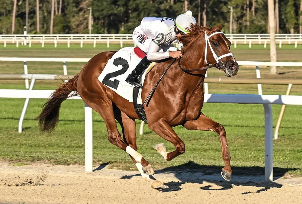 GULFSTREAM JOCKS ORTIZ, ALVARADO HERE SATURDAY; CAMACHO WINS 3