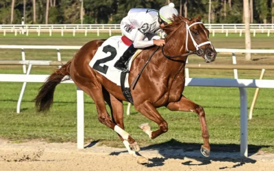 GULFSTREAM JOCKS ORTIZ, ALVARADO HERE SATURDAY; CAMACHO WINS 3