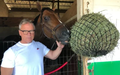 OWEN ALMIGHTY MORNING-LINE DAVIS CHOICE; LA CARA 2-1 FOR SUNCOAST