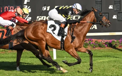 BROWN, PRAT, RUNNING BEE AND SAFFRON MOON PUT ON SHOW TO REMEMBER
