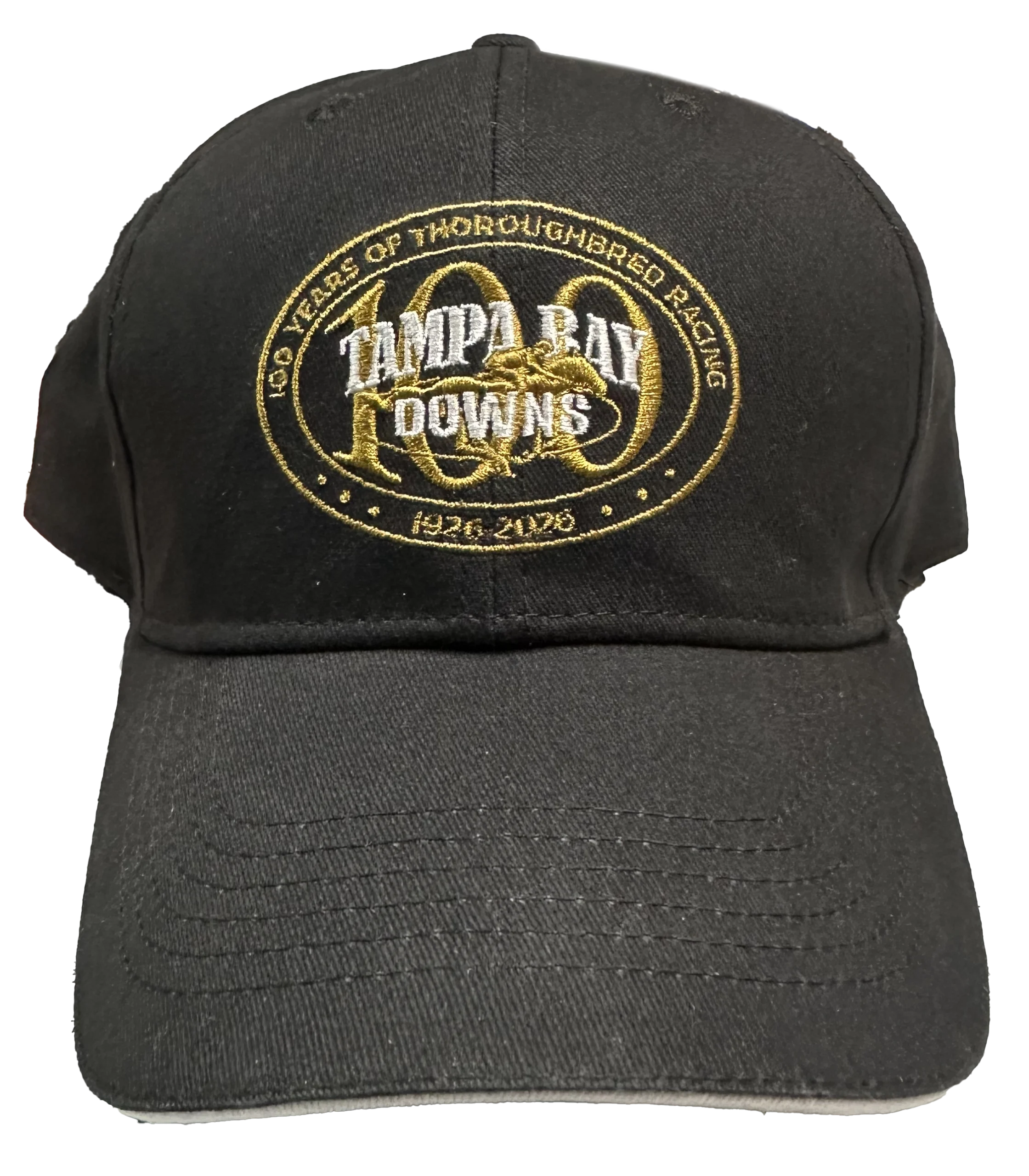 Skyway Festival Icon