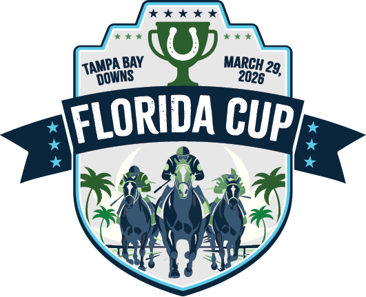 Skyway Festival Icon