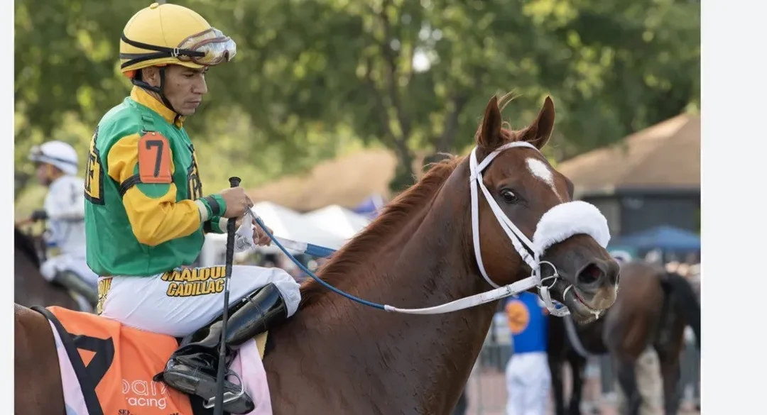 DOWNS TRAINER VANWINKLE SEEKS BREEDERS’ CUP GLORY WITH MAD HOUSE