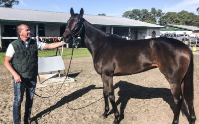 ARRIAGADA EARNS TRAINER OF MONTH HONOR; O’CONNELL WINS 4