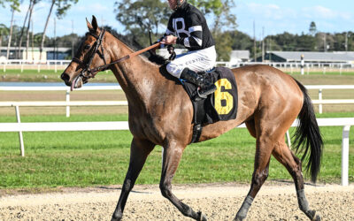 DREXEL HILL RETURNS WITH FLOURISH, WINS WAYWARD LASS; TESSELLATE WINS