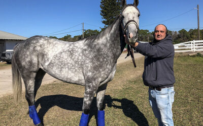 CANDY QUEST, WIN FOR THE MONEY FAVORED; SIMONE IS TRAINER OF MONTH