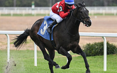 QUATROCENTO WINS TAMPA BAY STAKES; AUSSIE GIRL TAKES ENDEAVOUR