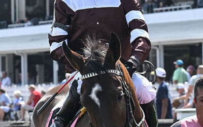 CENTENO IS MARTIN’S ITALIAN JOCKEY OF MONTH; TURF TEST IS SATURDAY