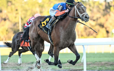 RENEGADE, ORTIZ DASH LONGSHOT AMBITIONS; CONCRETE GLORY WINS PELICAN