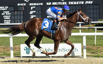 ZANY LIVES UP TO THE HYPE; FLORIDA-BRED MYSTIC LAKE WINS MINARET