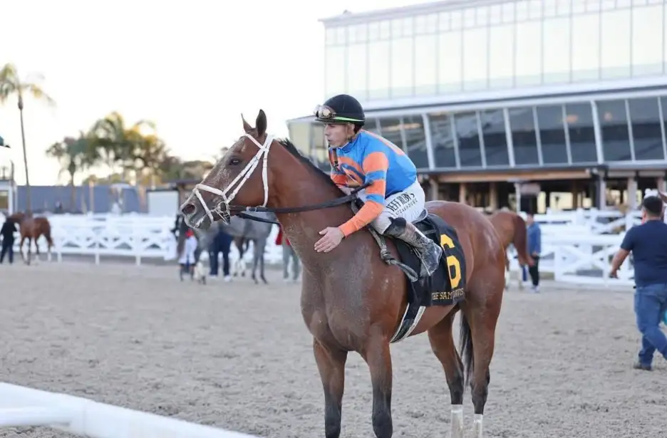 From Tampa to the 158th Belmont Stakes: Beyond the Finish Line