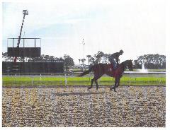 Daktronics 16:9 ratio jumbo video board being installed