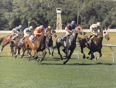 horses racing on turf in 1997