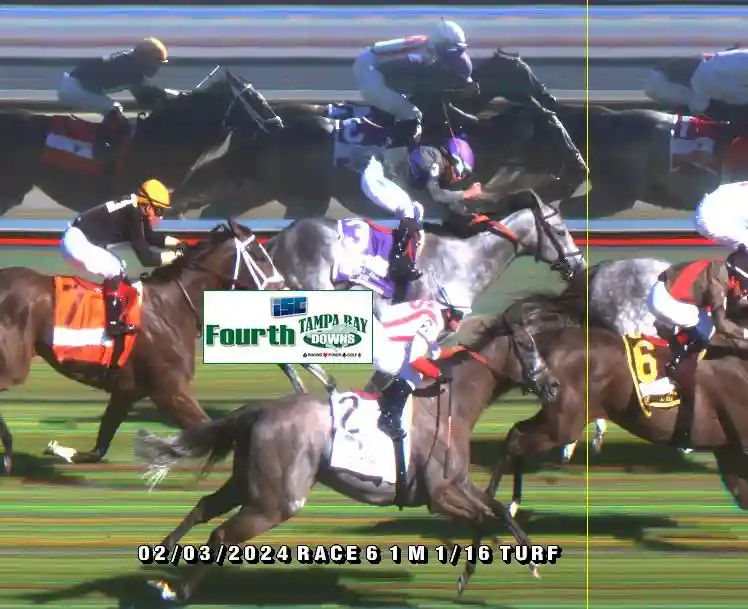 finish-photos-tampa-bay-downs