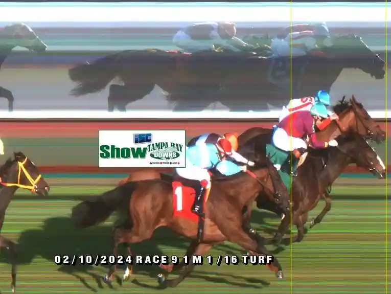 Finish Photos | Tampa Bay Downs