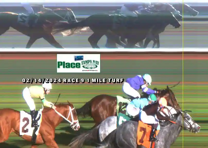 Finish Photos | Tampa Bay Downs