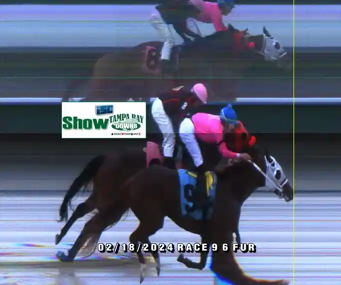finish-photos-tampa-bay-downs