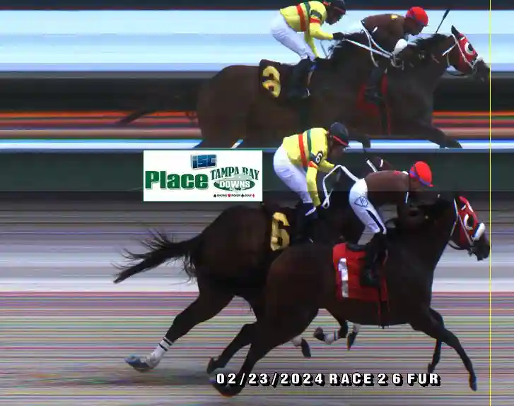 finish-photos-tampa-bay-downs