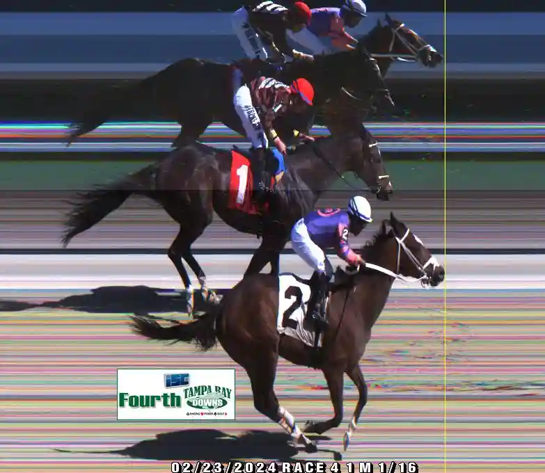 finish-photos-tampa-bay-downs