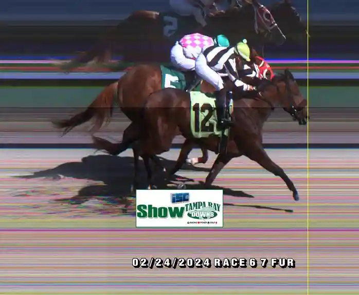 finish-photos-tampa-bay-downs