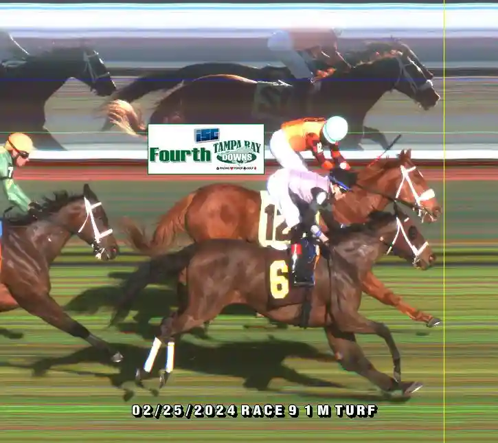 finish-photos-tampa-bay-downs