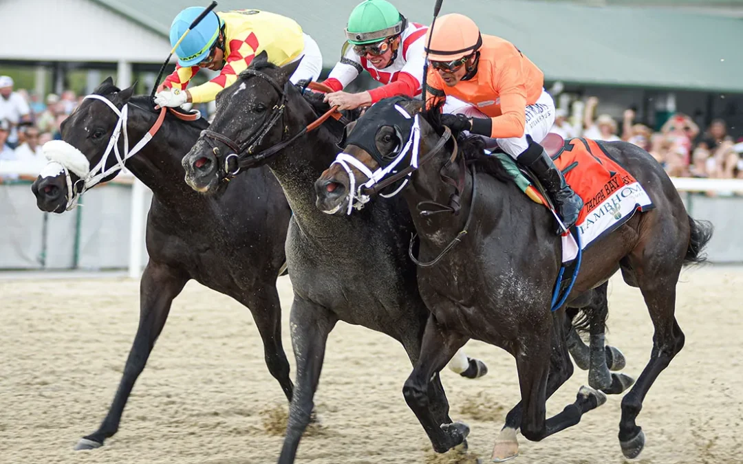 DOMESTIC PRODUCT TURNS IN SOLID DERBY WORK; CENTENO WINS THREE