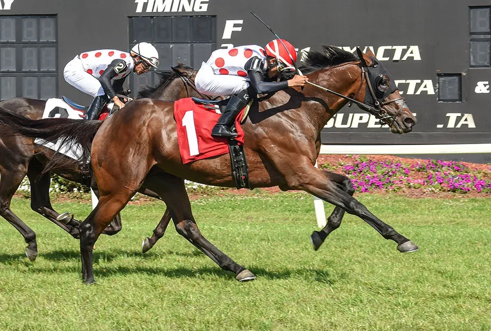 PAIR OF STAKES RECORDS, THREE WINS FOR SAEZ HIGHLIGHT FLORIDA CUP