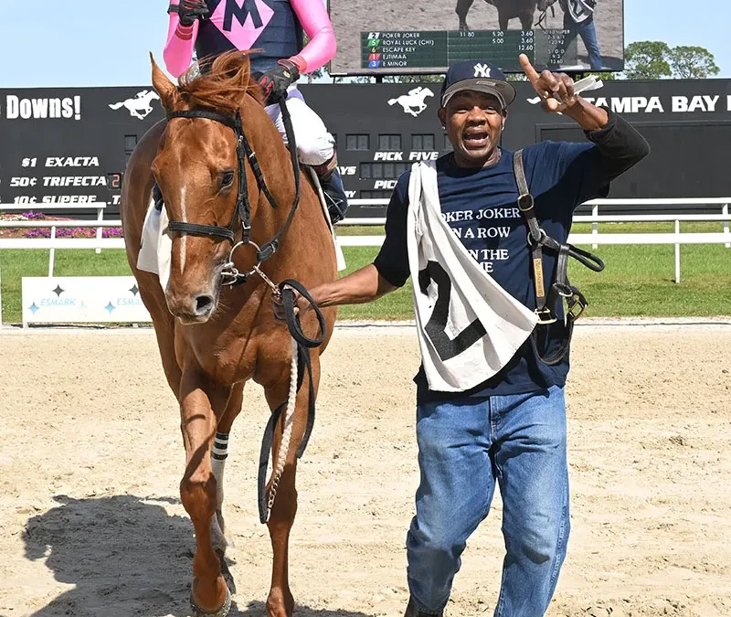 POKER JOKER, CLEOPATRA’S NILE STAY PERFECT AT MEET WITH TURF TEST WINS