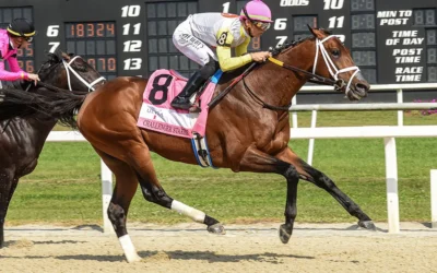 TB DERBY WINNER HIGHLY QUALIFIED FOR RACE HE MIGHT NOT BE SUITED FOR
