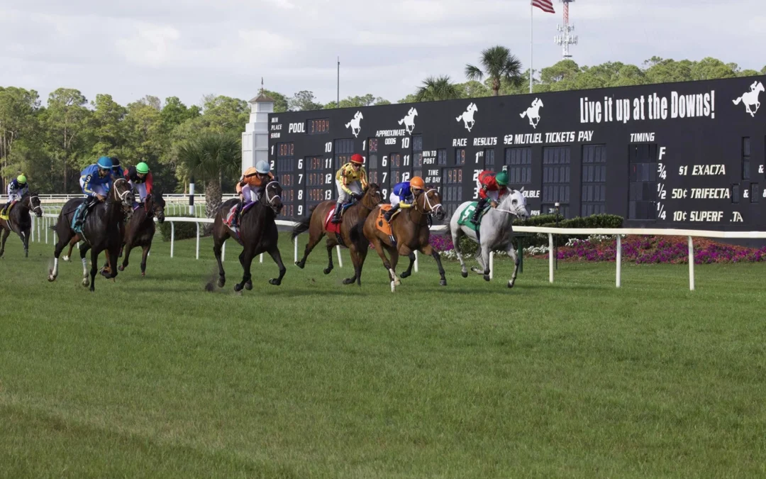 Mark Your Calendars: Tampa Bay Downs Announces 2026-27 Stakes Schedule