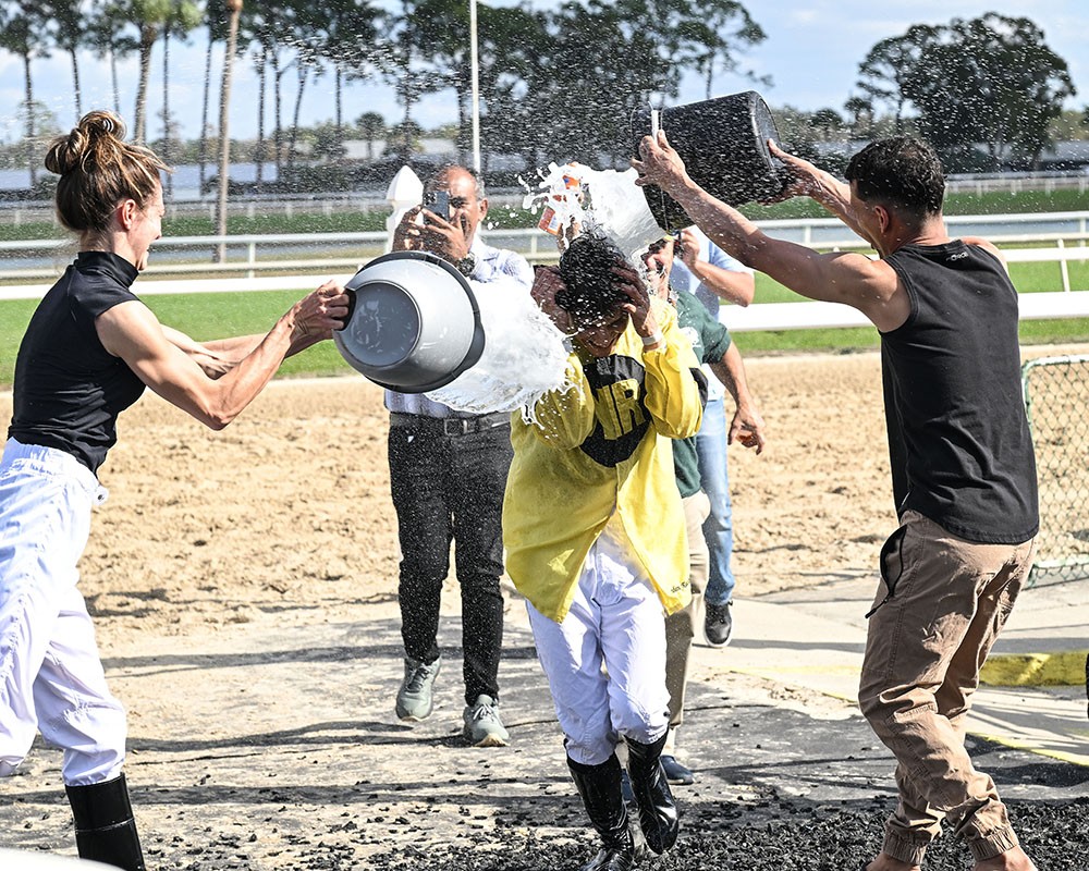 kleinermejias kleinermejias