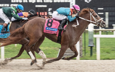 CONNECTIONS STRIKE AGAIN WITH THE PUMA