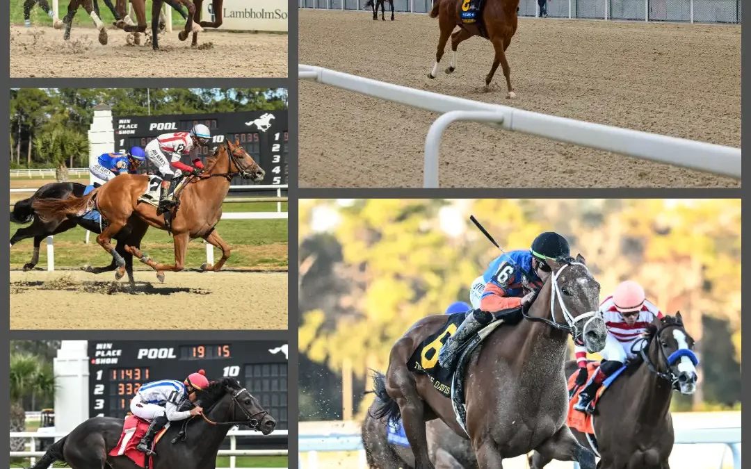 TAMPA BAY DOWNS SEASONAL STANDOUTS STACK THE KENTUCKY DERBY AND OAKS CARDS