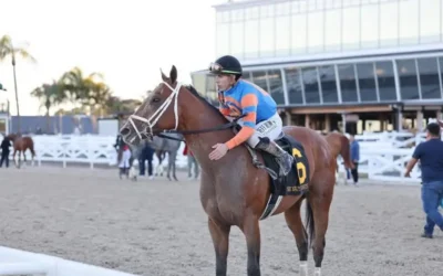 From Tampa to the 158th Belmont Stakes: Beyond the Finish Line